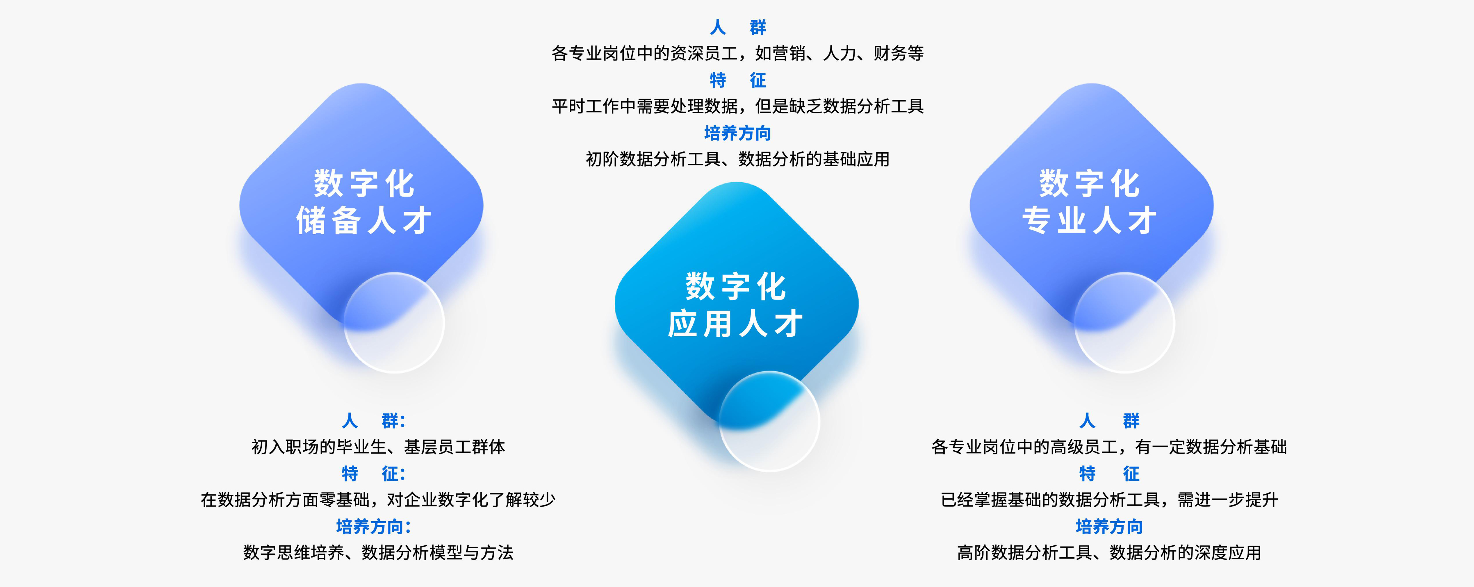 数据分析专项能力提升项目全景图